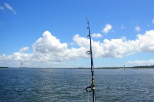 Ferienhäuser & Ferienwohnungen für Angler auf Rügen